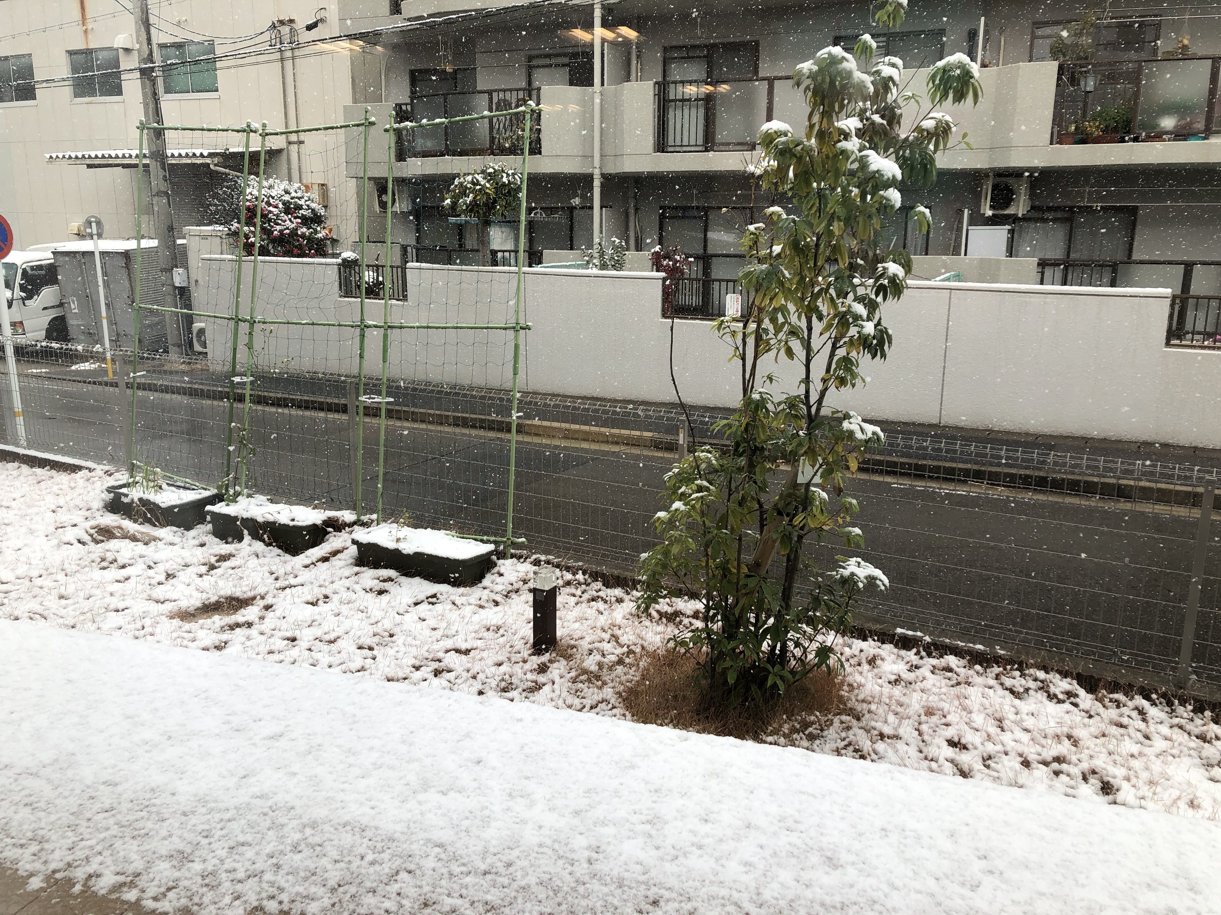 初雪⛄️    エルステージ名東