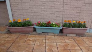 エルステージ小田井