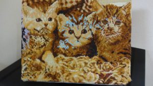 エルステージ小田井