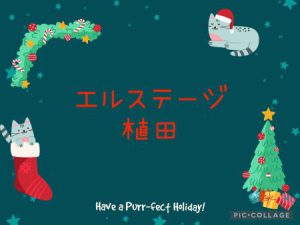 🔔エルステージ植田🔔