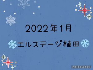 🎀エルステージ植田🎀