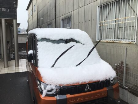 雪☃️❄️