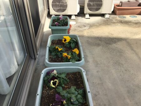 エルステージ岩倉