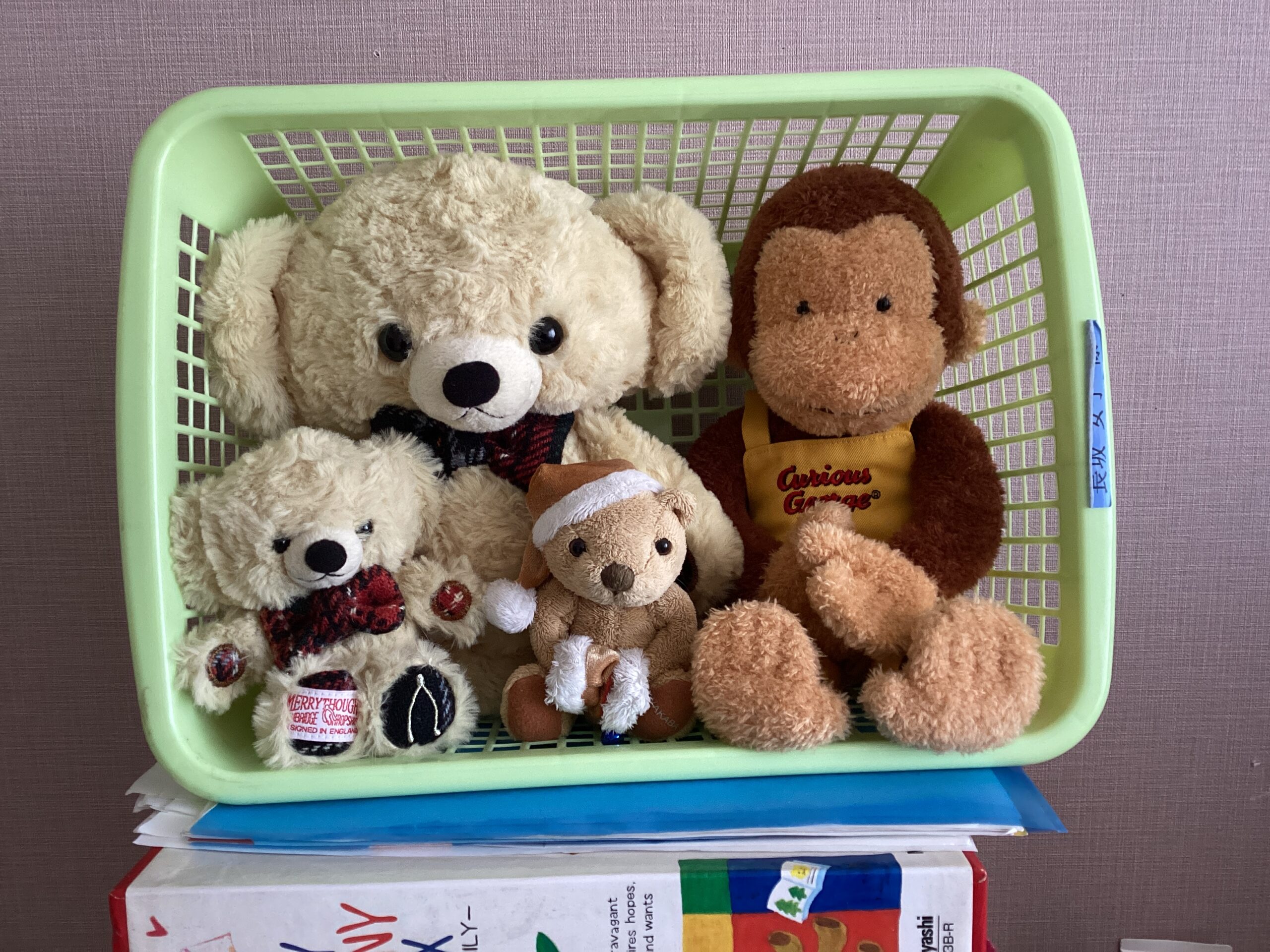 🧸エルステージ植田🧸